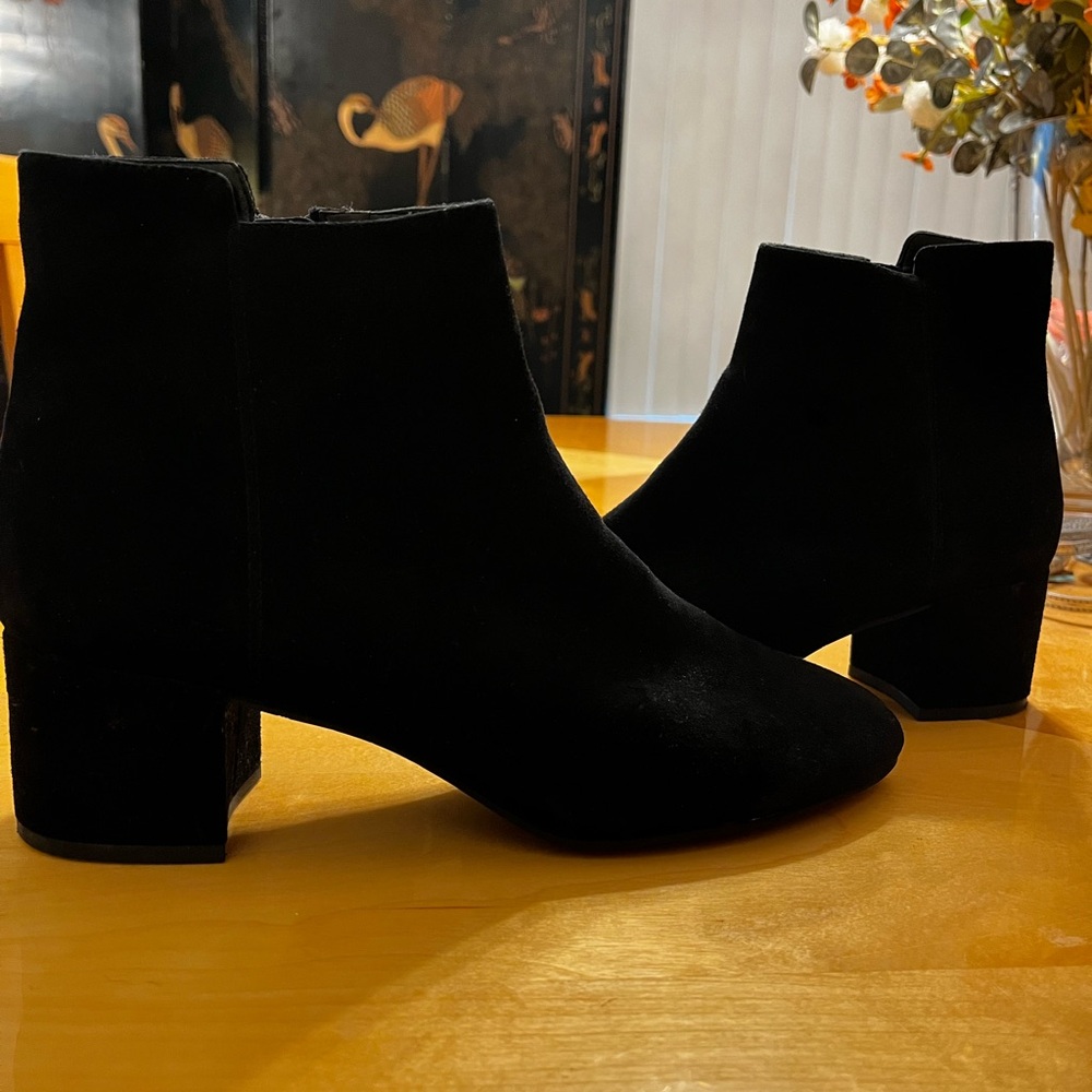 Pelle Moda Suede booties NWT